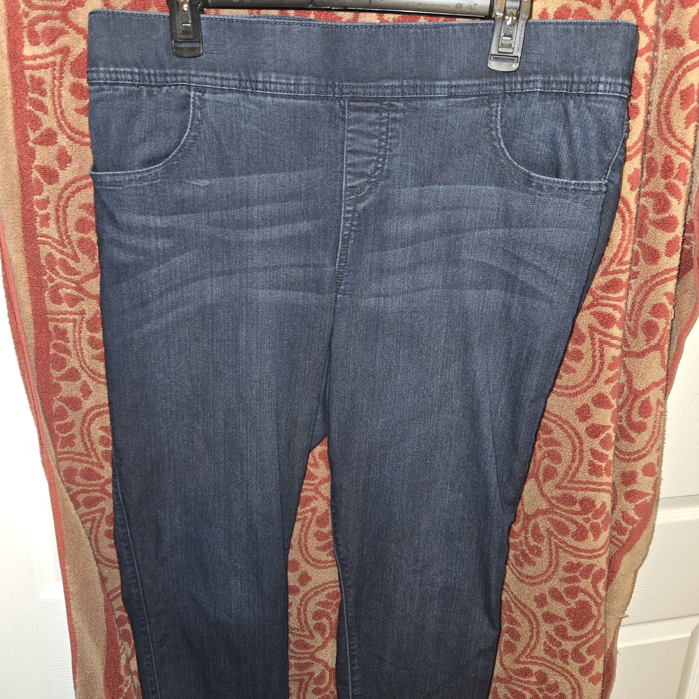 Torrid Indigo Blue Jeggings
